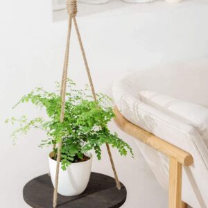 Dahey Hanging Plant Shelf Round Wood Rope Hanging Floating Shelf Vintage Home Decor Display Planter Rack for Living Room Bedroom Kitchen, Dark Brown