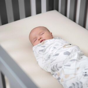 Naturepedic Organic Crib Mattress - 2-Stage 252 Coil Infant & Toddler Mattress with Protector Pad - Waterproof, Breathable & Non-Toxic Mattress for Baby and Toddler Bed