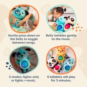 B. toys- B. baby –Baby Soothing Plush Dog- Gloiwng Tummy with Lights & Sounds- Twinkle Tummies Dog–6 Months +