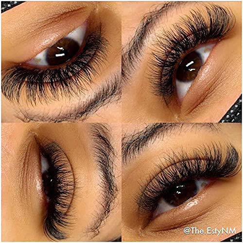 Eyelash Extensions 0.05 C Curl 15mm Lash Extensions Supplies Individual Lashes Premium Silk Volume & Classic Lash Soft Matte Dark Professional Eyelashes Extension (0.05-C-15mm)