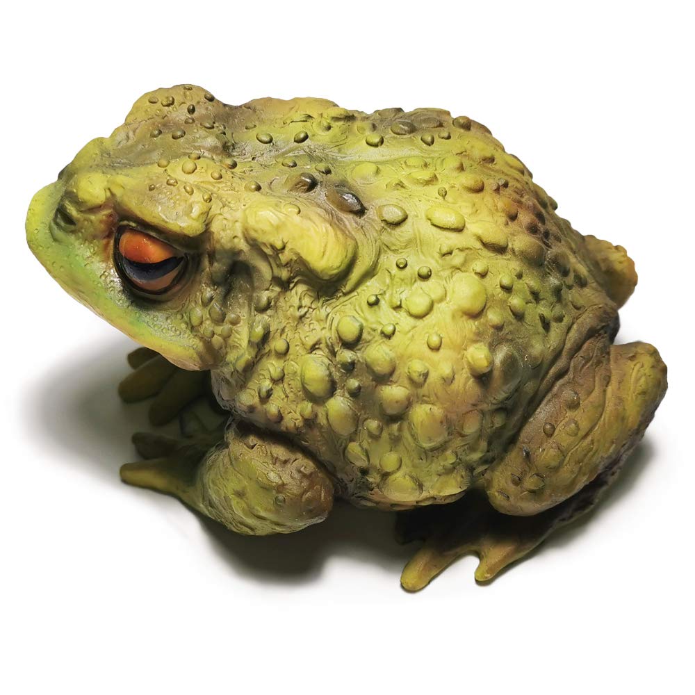 Sunthus Frog Toad Sculptures Garden Statues Yard Art Resin Decorations Outdoor Garden Decor