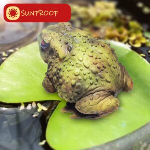 Sunthus Frog Toad Sculptures Garden Statues Yard Art Resin Decorations Outdoor Garden Decor