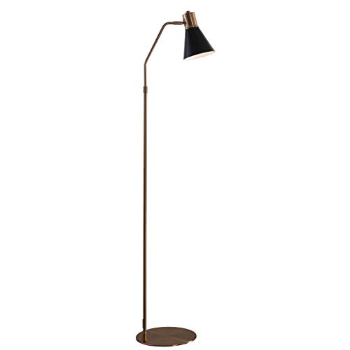 Safavieh FLL4042A Lighting Collection Grania Gold and Black 60-inch Floor Lamp, H