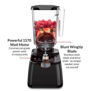 Blendtec Original Designer Series Blender and 90 Oz WildSide+ Jar - Kitchen Blender Bundle - Stainless Steel