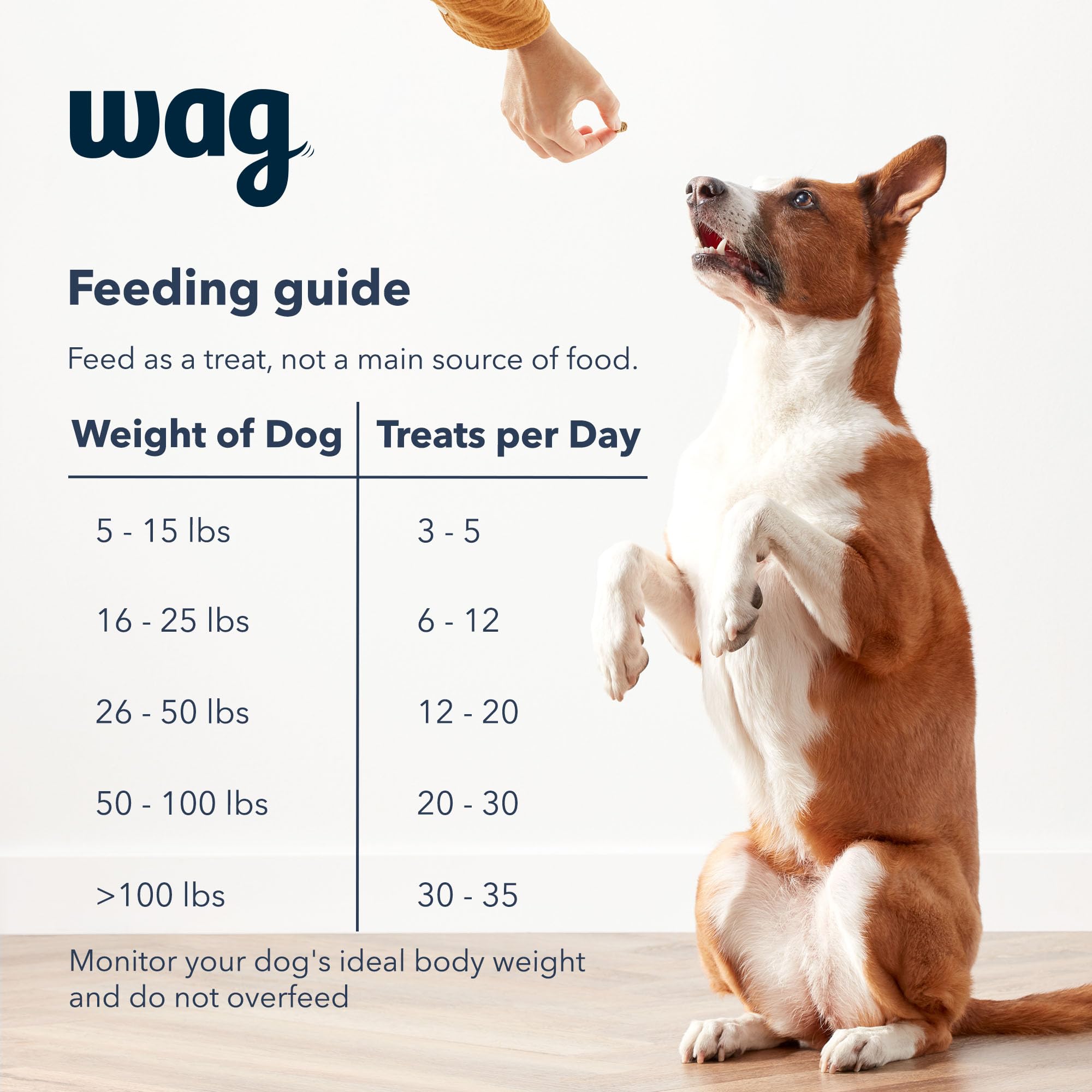 Amazon Brand – Wag Chicken Flavor Training Treats for Dogs, 1 lb. Bag (16 oz)