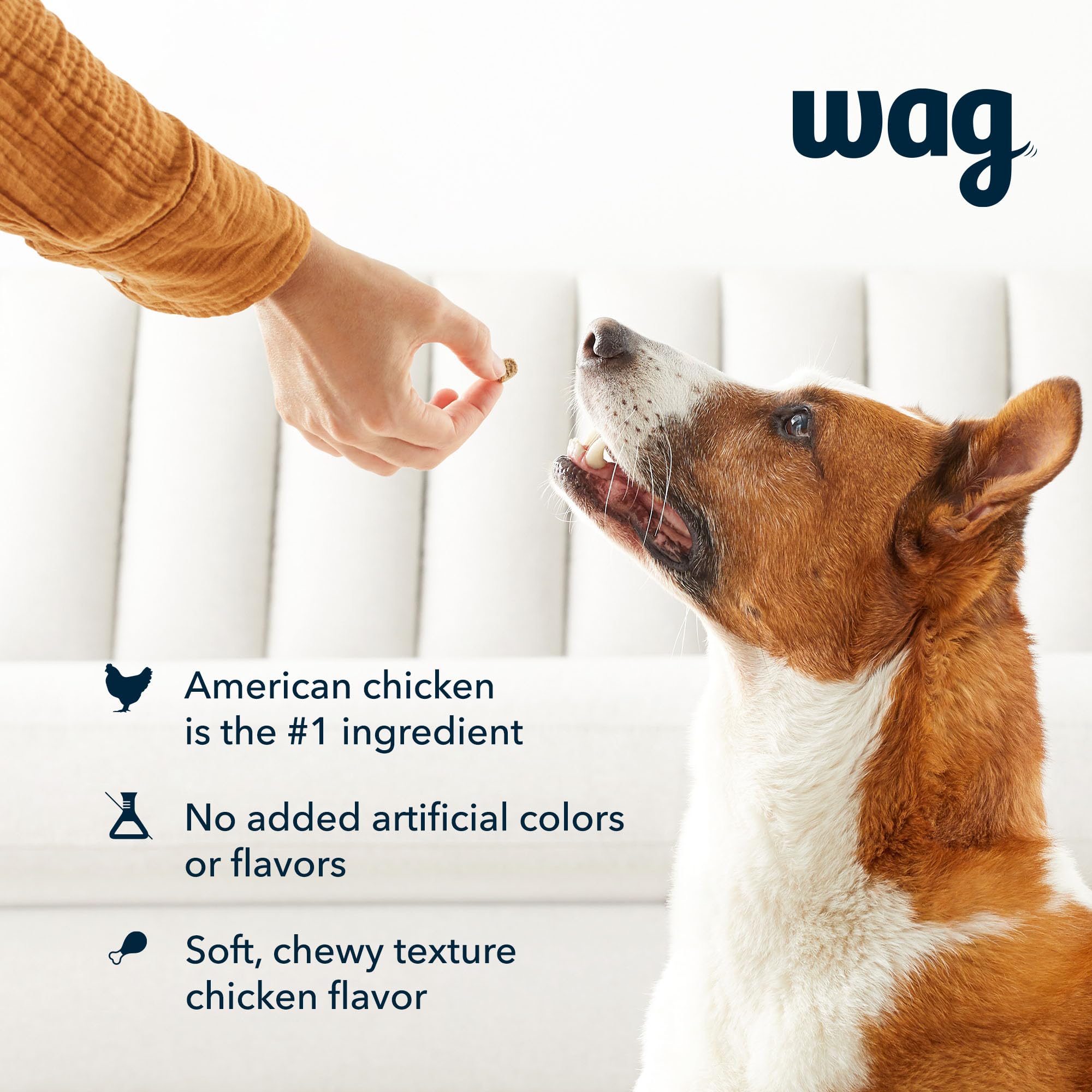 Amazon Brand – Wag Chicken Flavor Training Treats for Dogs, 1 lb. Bag (16 oz)