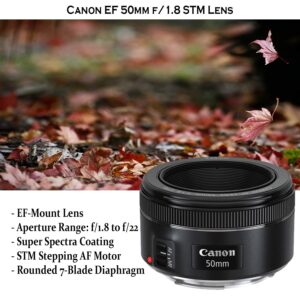 Canon EOS Rebel SL3 DSLR Camera with Canon EF-S 18-55mm f/4-5.6 is STM Lens + EF 75-300mm f/4-5.6 III Lens + EF 50mm f/1.8 STM Lens + 32GB Sandisk Memory + Pro Slave Flash + Holiday Special Bundle