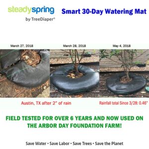 SteadySpring 24" Smart 30-Day Tree Watering Mat - AUTO Refills with RAIN and Slow Releases As Plant Needs - for Root Balls 11" - 15" Dia Slow Release Technology Prevents Over and Under Watering (1)