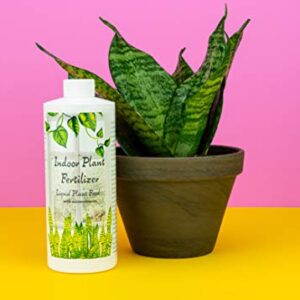 Indoor Plant Food | All-purpose House Plant Fertilizer | Liquid Common Houseplant Fertilizers for Potted Planting Soil | by Aquatic Arts