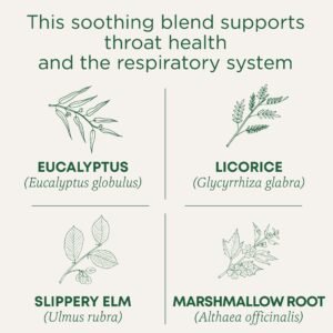 Traditional Medicinals Tea, Organic Throat Coat Eucalyptus, Throat and Respiratory Support, 96 Tea Bags (6 Pack)