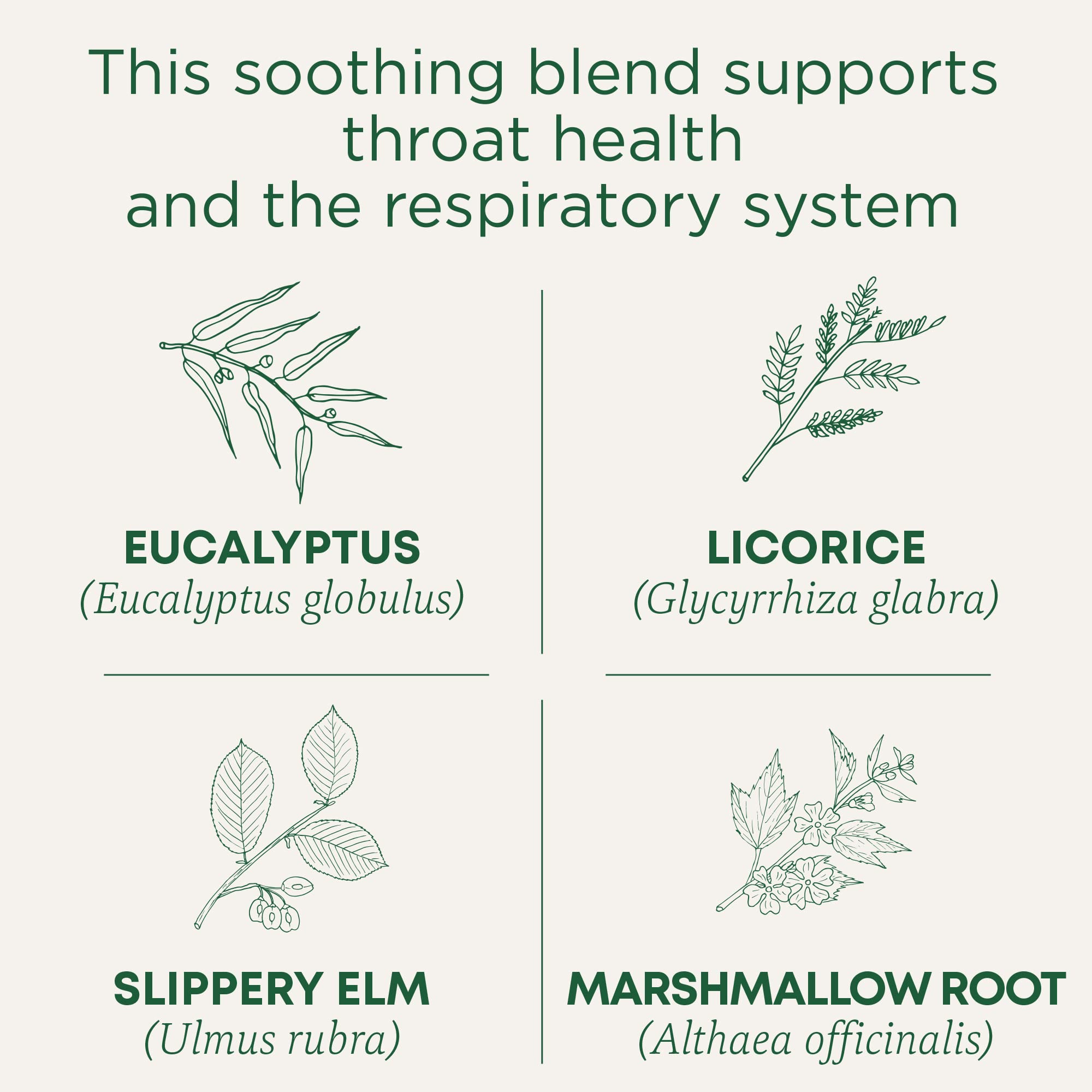 Traditional Medicinals Tea, Organic Throat Coat Eucalyptus, Throat and Respiratory Support, 96 Tea Bags (6 Pack)