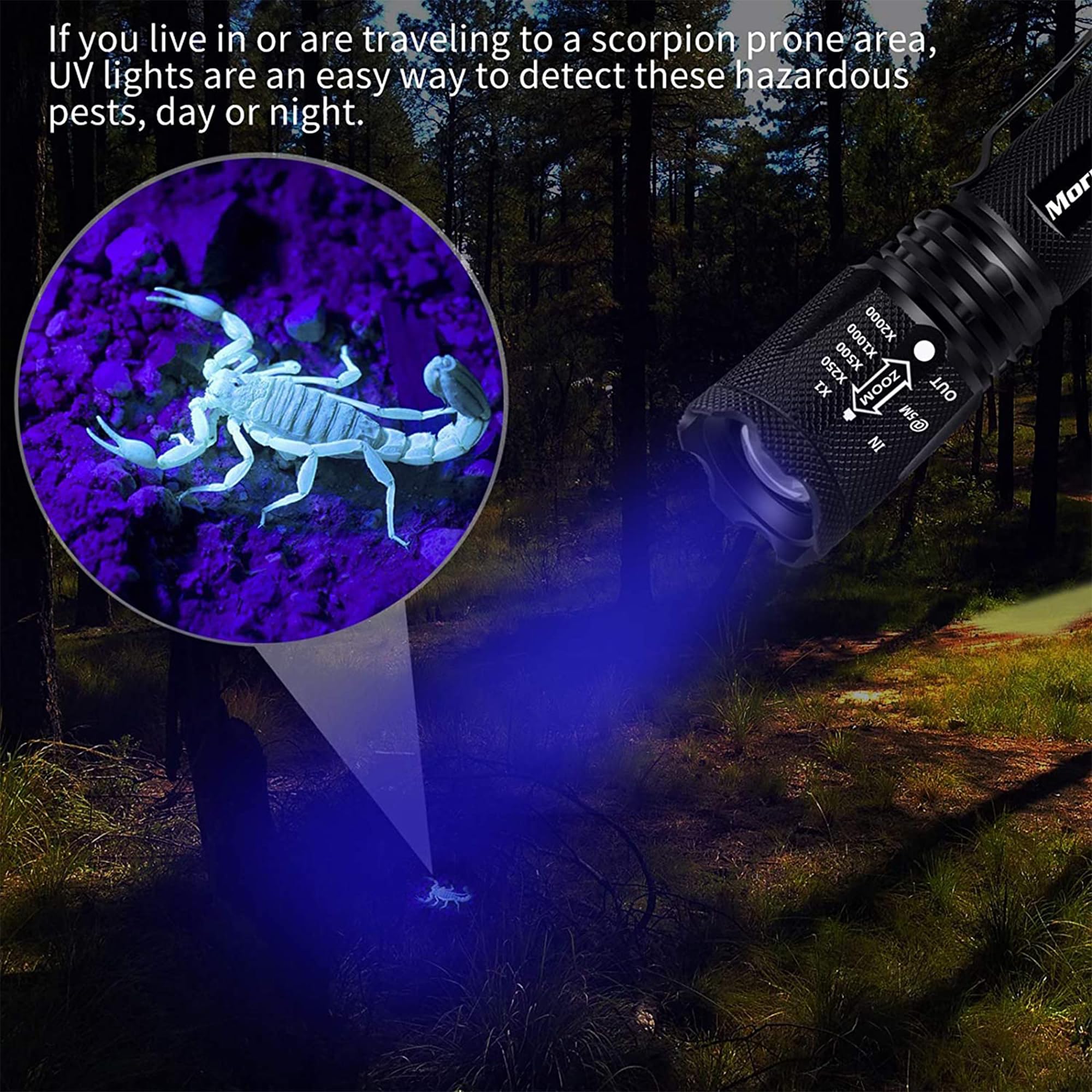 Morpilot Blacklight Flashlights, 2 in 1 LED UV Blacklight with 500LM Highlight, 4 Modes, 395nm Black Light Flashlight for Pet Urine/Scorpion Detection/Night Fishing/Travel/Camping, 2pcs