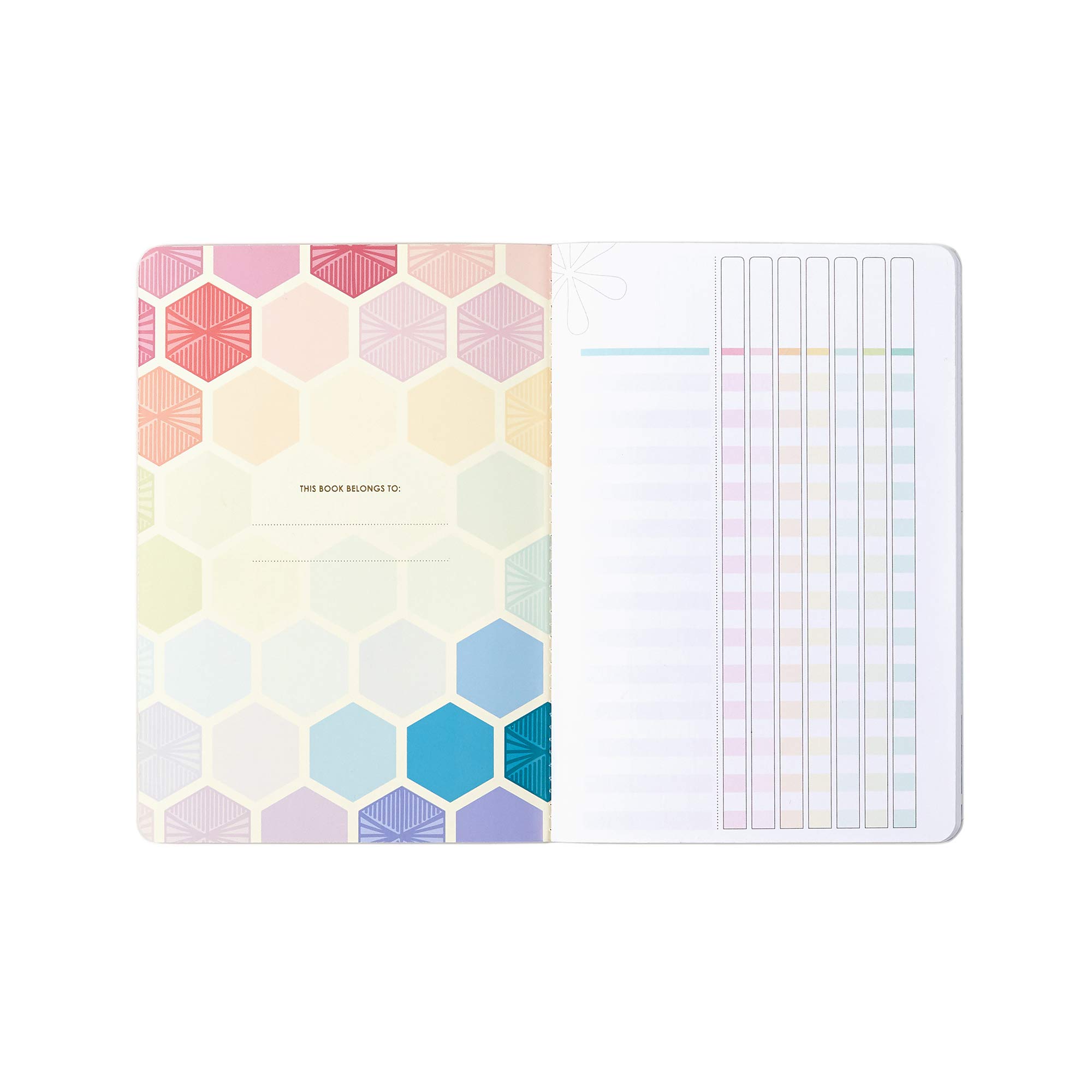 Erin Condren Designer Petite Journal Checklists - Multicolored Hexagon Design Theme. Great for Tracking Daily and Weekly Lists with Blank Customizable Fields