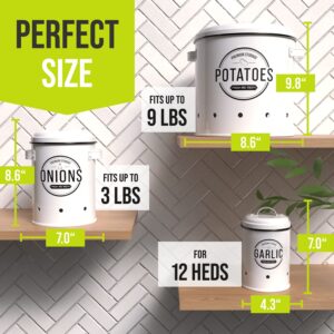 LOFTASTIC® Potato and onion storage bin (3 pack), onion and potato storage bins, potato storage, onion storage, potato storage for pantry, white