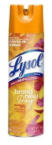 lysol disinfectant spray, sanitizing and antibacterial spray, for disinfecting and deodorizing, mango & hibiscus scent, 19 fl oz, (packaging may vary)