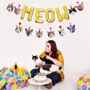 Bessmoso Funny Cat Party Garland Meow Letter Balloons Cats Faces with Party Hats Banner Kitten Bunting Photo Props for Cat Theme Birthday Party Pet Adoption Party Supplies