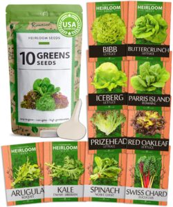 5,000+ heirloom lettuce seeds for planting indoors - 95% germination, non-gmo greens seeds, (10 varieties): kale, spinach, butter, romaine, arugula & more - lettuce seeds for hydroponic home garden