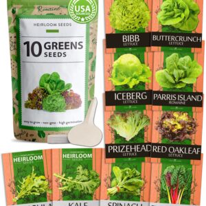 5,000+ Heirloom Lettuce Seeds for Planting Indoors - 95% Germination, Non-GMO Greens Seeds, (10 Varieties): Kale, Spinach, Butter, Romaine, Arugula & More - Lettuce Seeds for Hydroponic Home Garden