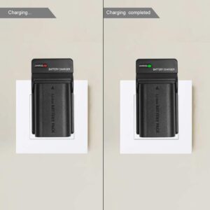 LP-E6 Battery Charger for Canon EOS 5D Mark II, EOS 5D Mark III, EOS 60D, EOS 60Da, EOS 6D, EOS 70D, EOS 7D, EOS 7D Mark II, Replacement for Canon LC-E6 LC-E6E Charger