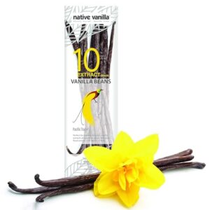 native vanilla grade b tahitian vanilla beans – 10 total premium extract whole pods – for chefs and home baking, cooking & extract making – homemade vanilla extract