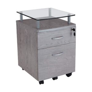 Techni Mobili Rolling Glass Top File Cabinet, Regular, Gray