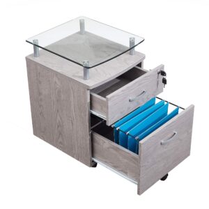 Techni Mobili Rolling Glass Top File Cabinet, Regular, Gray