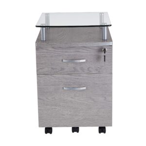 Techni Mobili Rolling Glass Top File Cabinet, Regular, Gray