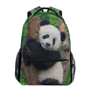 alaza cute panda on the tree stylish large backpack personalized laptop ipad tablet travel school bag with multiple pockets for men women college