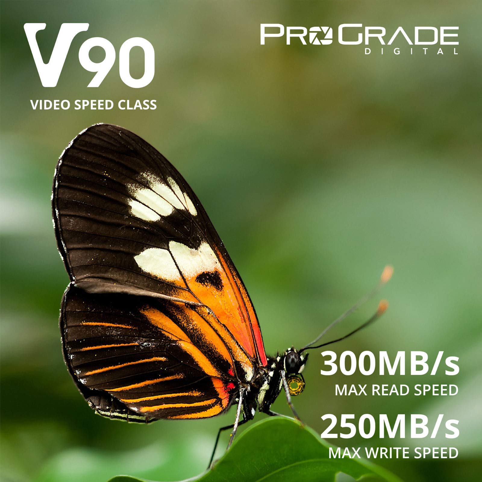 ProGrade Digital SDXC UHS-II V90 300R Memory Card (128GB)