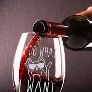 I Do What I Want - Funny 15oz Stemless Crystal Wine Glass - Fun Wine Glasses with Sayings Gifts for Women