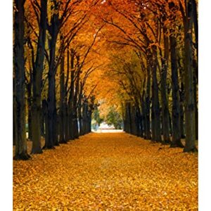 Funnytree 5x7ft Maple Leaves Photography Backdrop Autumn Fallen Yellow Tunnel Scenery Natural Season Background Fall Tree Street Road Photo Studio Props Photobooth Poster Photoshoot
