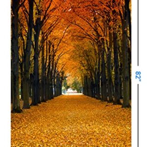 Funnytree 5x7ft Maple Leaves Photography Backdrop Autumn Fallen Yellow Tunnel Scenery Natural Season Background Fall Tree Street Road Photo Studio Props Photobooth Poster Photoshoot