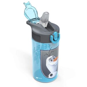 Zak Designs Disney Frozen 2 Kids Water Bottle Set with Reusable Straws and Built in Carrying Loops, Made of Durable Stainless Steel & Plastic, Leak-Proof Bottle Design (Elsa/Anna, BPA-Free, 2pc Set)