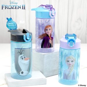 Zak Designs Disney Frozen 2 Kids Water Bottle Set with Reusable Straws and Built in Carrying Loops, Made of Durable Stainless Steel & Plastic, Leak-Proof Bottle Design (Elsa/Anna, BPA-Free, 2pc Set)