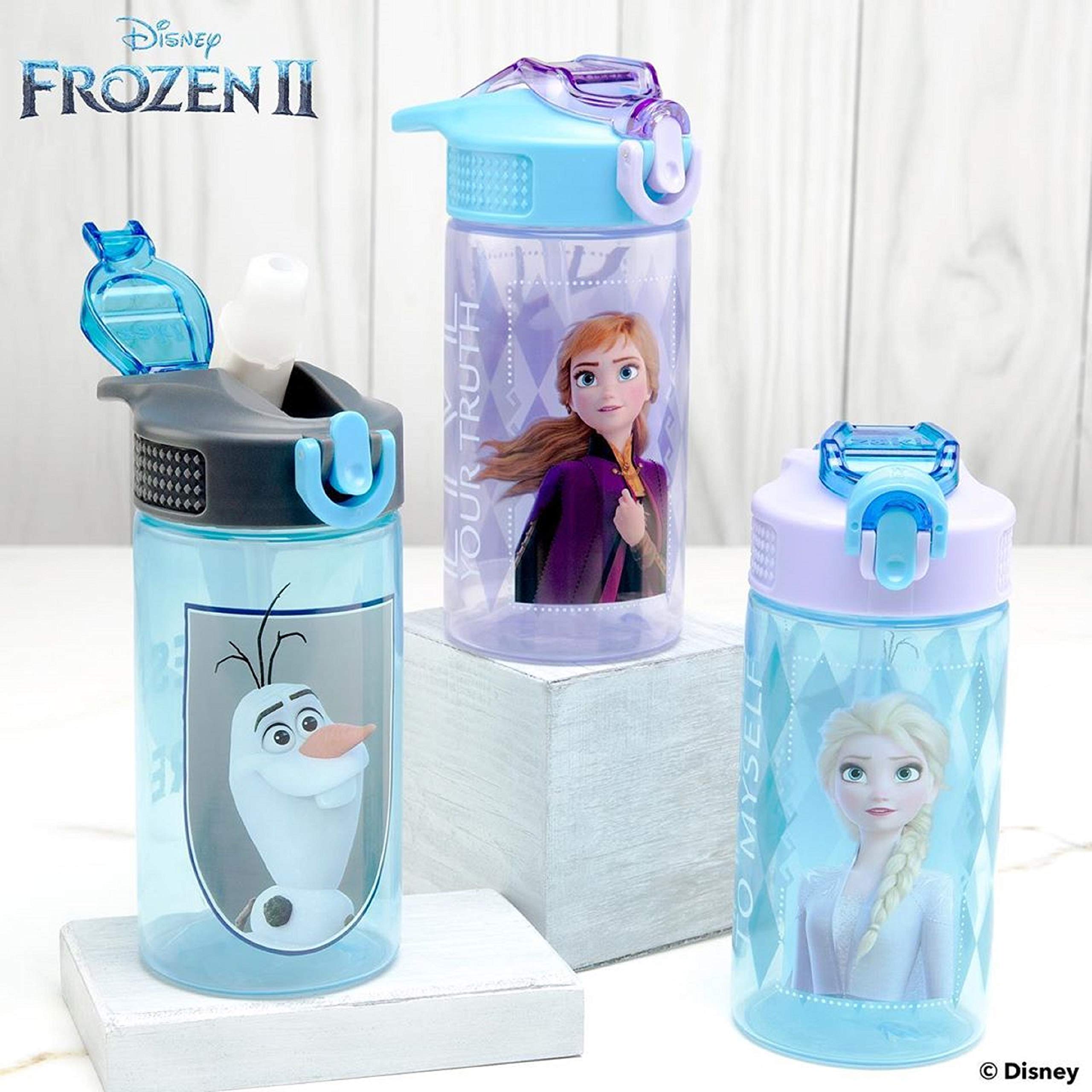 Zak Designs Disney Frozen 2 Kids Water Bottle Set with Reusable Straws and Built in Carrying Loops, Made of Durable Stainless Steel & Plastic, Leak-Proof Bottle Design (Elsa/Anna, BPA-Free, 2pc Set)