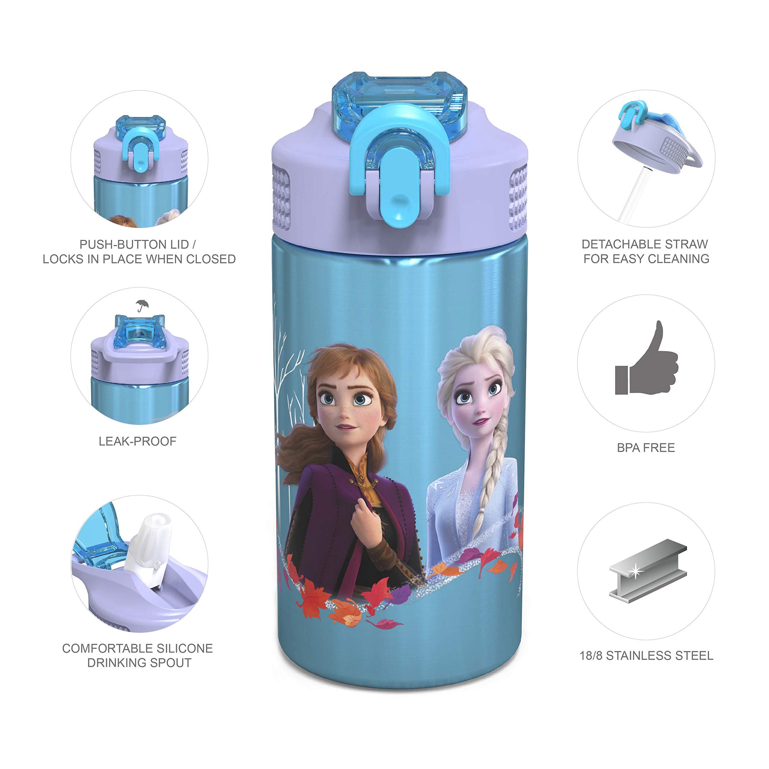 Zak Designs Disney Frozen 2 Kids Water Bottle Set with Reusable Straws and Built in Carrying Loops, Made of Durable Stainless Steel & Plastic, Leak-Proof Bottle Design (Elsa/Anna, BPA-Free, 2pc Set)