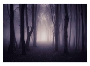 allenjoy 7x5ft misty dark forest woods halloween backdrop for photography gloomy grove mystery background for portrait magic witch wizard sorcerer ghost themed party banner decors photo props
