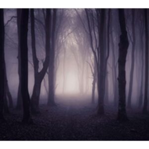 Allenjoy 7x5ft Misty Dark Forest Woods Halloween Backdrop for Photography Gloomy Grove Mystery Background for Portrait Magic Witch Wizard Sorcerer Ghost Themed Party Banner Decors Photo Props
