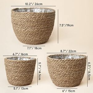 La Jolíe Muse Seagrass Planter Basket Indoor, Flower Pots Cover, Plant Containers, Natural(3-Pack) 10.2"+8.7"+6.7"