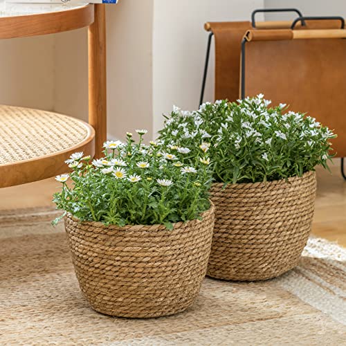 La Jolíe Muse Seagrass Planter Basket Indoor, Flower Pots Cover, Plant Containers, Natural(3-Pack) 10.2"+8.7"+6.7"