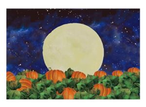 funnytree 7x5ft halloween pumpkin field photography backdrop for kids birthday party banner starry sky night moon background photo booth