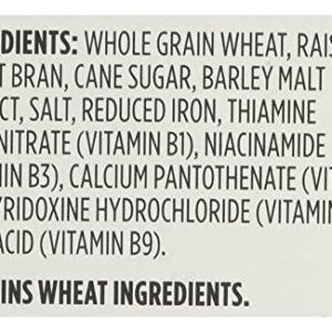 365 by Whole Foods Market, Raisin Bran Cereal, 15 Ounce
