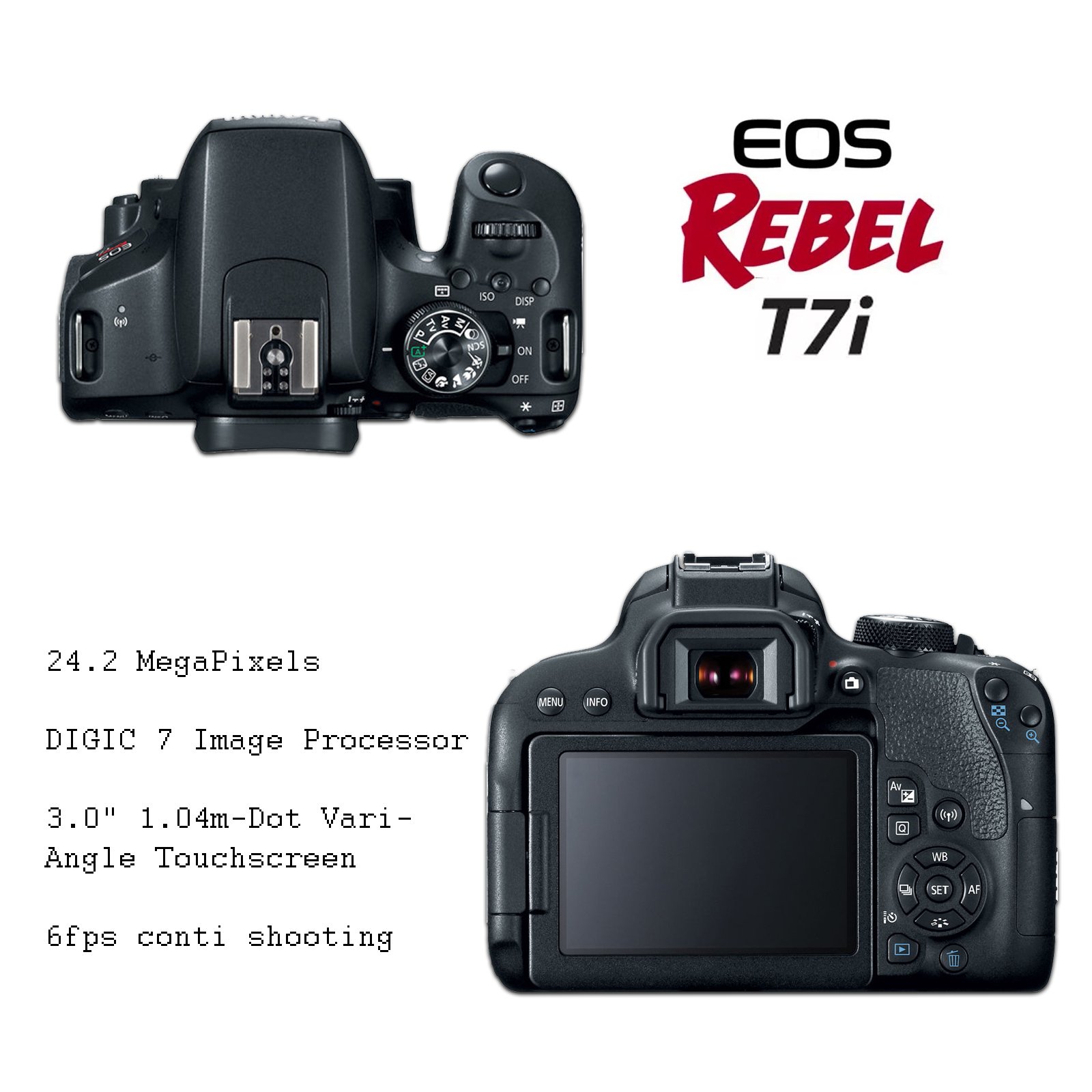 Canon EOS Rebel T7i DSLR Camera Bundle with Canon EF-S 18-55mm f/4-5.6 is STM Lens + 2pc SanDisk 32GB Memory Cards + Accessory Kit(w/ 3 Lens - 18-55 + 75-300 + 420-800)