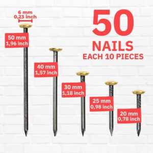 RIKAMA® 50 Picture Nails Gold | Picture Hanging kit | Each 10x 0.75, 1, 1.25, 1.5, 2 inch | Steel Nails for Hanging Pictures | Made in Germany