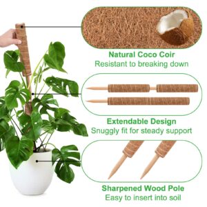 GROWNEER 24 Inch Moss Pole, 2 Pcs 15 Inch Stackable Totem Pole Plant Support, Moss Sticks for Indoor Plants with 15pcs Labels and 78in Garden Ties, Monstera Plant Stake for Climbing Plants Snake Plant