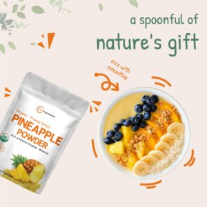 Organic Pineapple Powder, 8oz | 100% Natural Fruit Powder | Freeze-Dried Pineapples Source | No Sugar & Additives | Great Flavor for Drinks, Smoothie, & Beverages | Non-GMO & Vegan Friendly