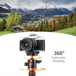 K&F Concept Professional 28mm Metal Tripod Ball Head 360 Degree Rotating Panoramic with 1/4 inch Quick Release Plate Bubble Level for Tripod Monopod Slider Camera Camcorder up to 22 pounds