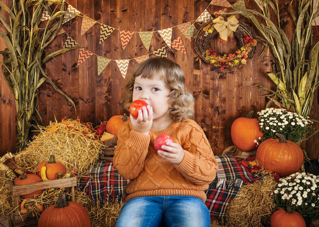 AIIKES 7x5FT Fall Thanksgiving Photo Backdrop Rustic Wood Board Barn Harvest Photography Backdrop Autumn Pumpkin Leaves Flower Baby Birthday Portrait Party Decoration Photo Studio Props 11-741