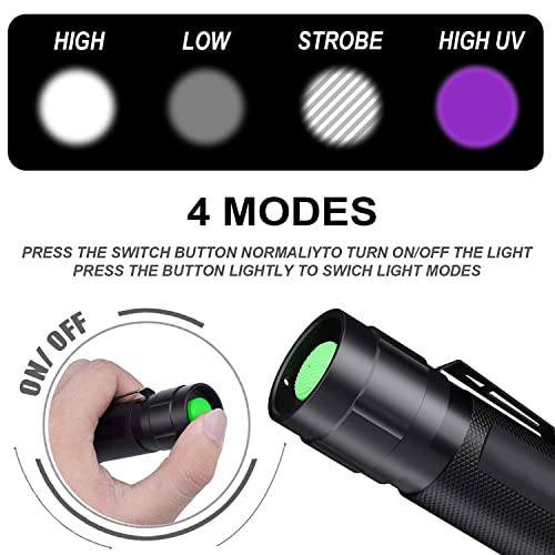 Black Light ,Flashlight, LED UV Torch 2 in 1 Blacklight with 500LM Highlight, 4 Mode, Waterproof for Pet Clothing Food Fungus Detection/Night Fishing/Travel