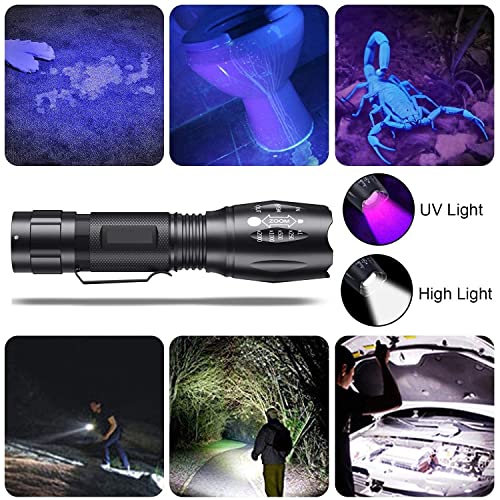 Black Light ,Flashlight, LED UV Torch 2 in 1 Blacklight with 500LM Highlight, 4 Mode, Waterproof for Pet Clothing Food Fungus Detection/Night Fishing/Travel